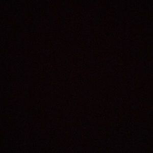 Meet your Posher, Frankie